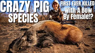 Sarah Bowmar HUNTS GIANT BUSH PIG W/ A BOW! | FIRST EVER for a female Bowhunter!??