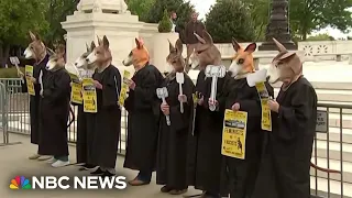 Protesters demonstrate outside Supreme Court ahead of Trump immunity case