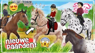 IK KOOP DE NIEUWE APPALOOSA PAARDEN! 🤩 ZO MOOI! - Update | Star Stable Online | Daphne draaft door