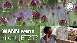 Wichtige Bienenpflanzen für Frühjahr und Sommer, die man JETZT setzen muss!!