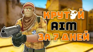 Я тренировал АИМ 7 ДНЕЙ и вот что из этого вышло... | cs go