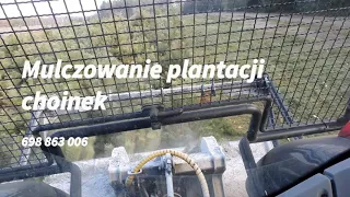 Likwidacja plantacji choinek, oczyszczanie terenu pod inwestycje, mulczowanie, mulczer leśny