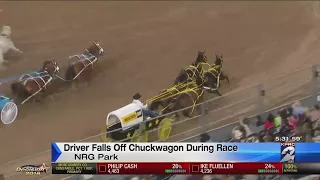 Driver falls off chuckwagon during race