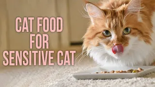 5 Best Cat Food for Sensitive Stomach