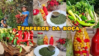 Temperos caseiros da roça direto da horta//o segredo das nossas receitas caipiras