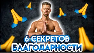 6 СЕКРЕТОВ БЛАГОДАРНОСТИ | Никита Метелица | БИОХАКИНГ