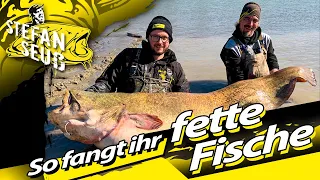 ANGELN auf WELS am FLUSS!! | NATURUFER oder STEINPACKUNG?? | Welsangeln mit Stefan Seuß