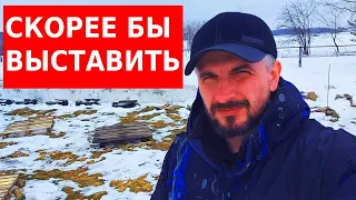 Спасаю пчёл/тревожные деньки 28.03.2021/ сибирский пчелоблог