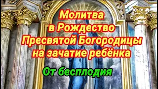 Молитва в Рождество Пресвятой Богородицы на зачатие ребёнка