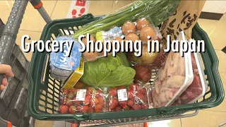 Shopping Trips Compilation🎵grocery shopping, goodies shopping, window shopping