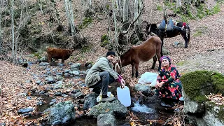 Daily Nomadic! Baking Bread on a Stone with a Traditional and Special Method