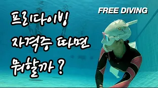 프리다이빙 자격증따면 뭐할까? (부산 사직수영장, 초보 프리다이버 브이로그)