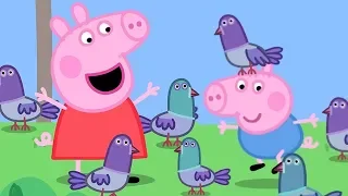 Peppa Pig 🍃 Doğa yürüyüşleri🌈 Programının en iyi bölümleri | Çocuklar için Çizgi Filmler