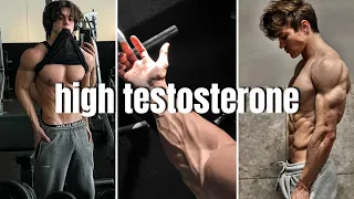 why you need to increase testosterone level ASAP