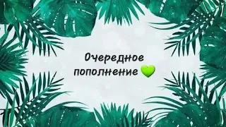 Распаковка растений из закупок. Группа ГринГарден 💚