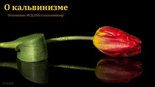 О кальвинизме. К. А. Нейман. МСЦ ЕХБ