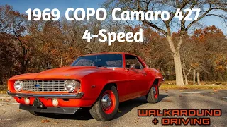 1969 Copo Camaro 427 4 Speed | Chevrolet Copo Camaro | Perfect Restoration