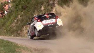 16° Rally Di Alba Many Crashs & Mistakes 2022