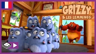 Grizzy et les Lemmings 🇫🇷 | Zapping sauvage