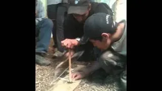 Survival Training at Camp Nahshii