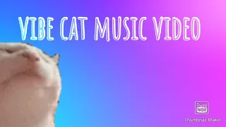 *vibe cat approved* song music vid