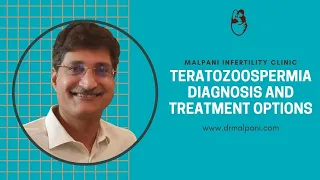 Teratozoospermia - Meaning, Diagnosis and Treatment options | Male infertility