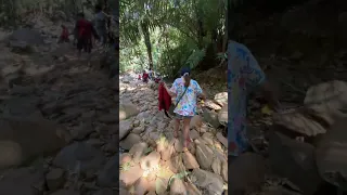 Dudhsagar waterfall day 3 #dudhsagar #southgoa #southgoatourismplaces #goavlog #viralvideo