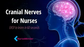 Cranial Nerves for Nursing in 60 Seconds! SAVE HOURS of study time