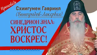 Синедрион знал: Христос воскрес! Отец Гавриил. Кавказский скит. Верую @user-gw3kj1lb7j