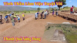 Linh Philip || Cây Mạ Lên Xanh Tốt Ở Bản Chilembo , Hứa Hẹn Mùa Vụ Tươi Tốt Trong Thời Gian Tới