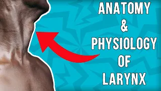 Anatomy and Physiology of Larynx - Structure and Function of Larynx - ENT Complete Lectures