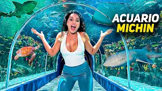 Increible ACUARIO MICHIN en CDMX 2024 | El mejor de México?