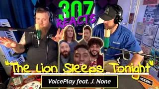 VoicePlay -- The Lion Sleeps Tonight feat. J. None -- ".....Anyways..." -- 307 Reacts -- Episode 828