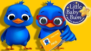 Two Little Dicky Birds | Nursery Rhymes for Babies by LittleBabyBum - ABCs and 123s