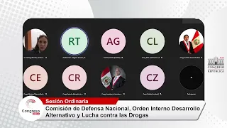 COMISIÓN DE DEFENSA NACIONAL | CONGRESO PERÚ | 03/04/23