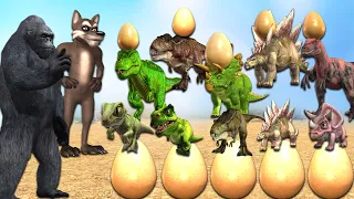 Gorilla vs dinosaurs amazing fight video  || Cartoon gorilla wolf Eggs stealing video by mr lavangam