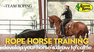 Develop Your Horse’s Draw to Cattle