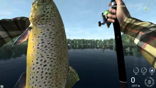 Fishing Planet. Мичиган. Уникальная Кумжа