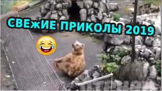 🤣😎 СМЕХ ДО СЛЕЗ | Gifs With Sound | ПРИКОЛЫ 2019 МАЙ #20