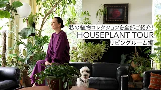 #37 私の植物コレクションを全部ご紹介! HOUSEPLANT TOUR 〜リビングルーム編〜