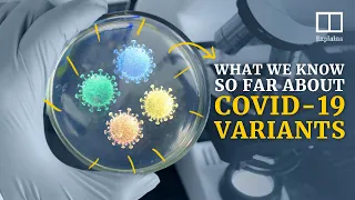 What do we know so far about the Covid-19 variants?