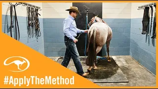 Training Tip: Move Your Horse's Feet in the Saddle Bay
