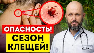 ЛУЧШАЯ ЗАЩИТА ОТ КЛЕЩЕЙ! / Как правильно вытащить клеща и не навредить себе?