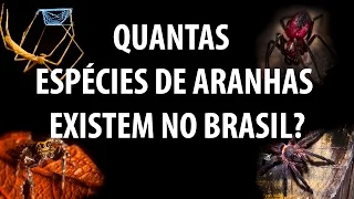 Quantas espécies de  aranhas existem no Brasil?