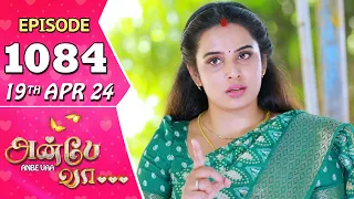 Anbe Vaa Serial | Episode 1084 | 19th Apr 2024 | Virat | Shree Gopika | Saregama TV Shows Tamil