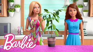 @Barbie | Seeds and Salsa 🌱 | Barbie Vlogs