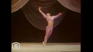 Mikhail Lavrovsky Solor Variation