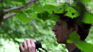 Wild Berlin: Short Documentary | Urban Wildlife