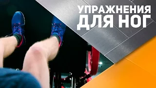 Программа тренировок в зале: упражнения для ног [Спортивный Бро]