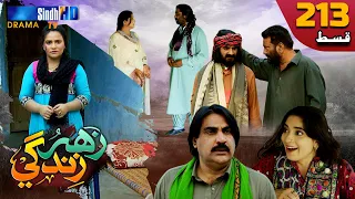Zahar Zindagi - Ep 213 | Sindh TV Soap Serial | SindhTVHD Drama